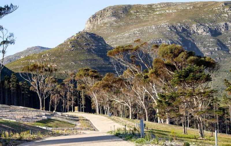 0 Bedroom Property for Sale in Noordhoek Western Cape